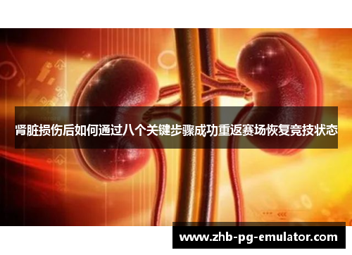 肾脏损伤后如何通过八个关键步骤成功重返赛场恢复竞技状态