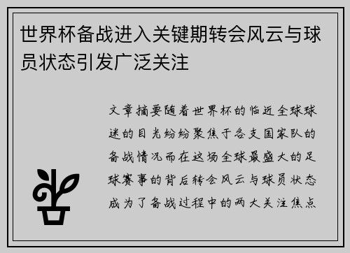 世界杯备战进入关键期转会风云与球员状态引发广泛关注